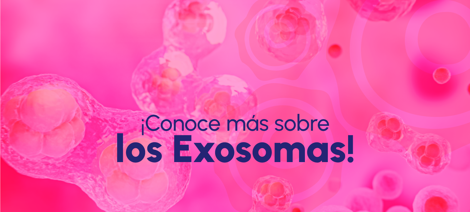 exosomas