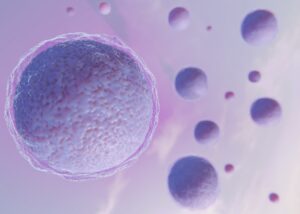 células-madre-mesenquimales-en-el-tratamiento-de-enfermedades-neurológicas1