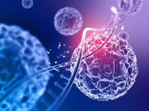 medicina-regenerativa-para-el-tratamiento-de-la-osteoartritis